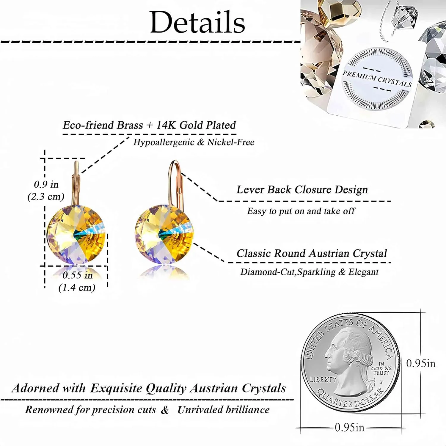 Austrian Crystal Round Drop Earrings for Women 14K Gold Plated Hypoallergenic Leverback Hoop Earrings