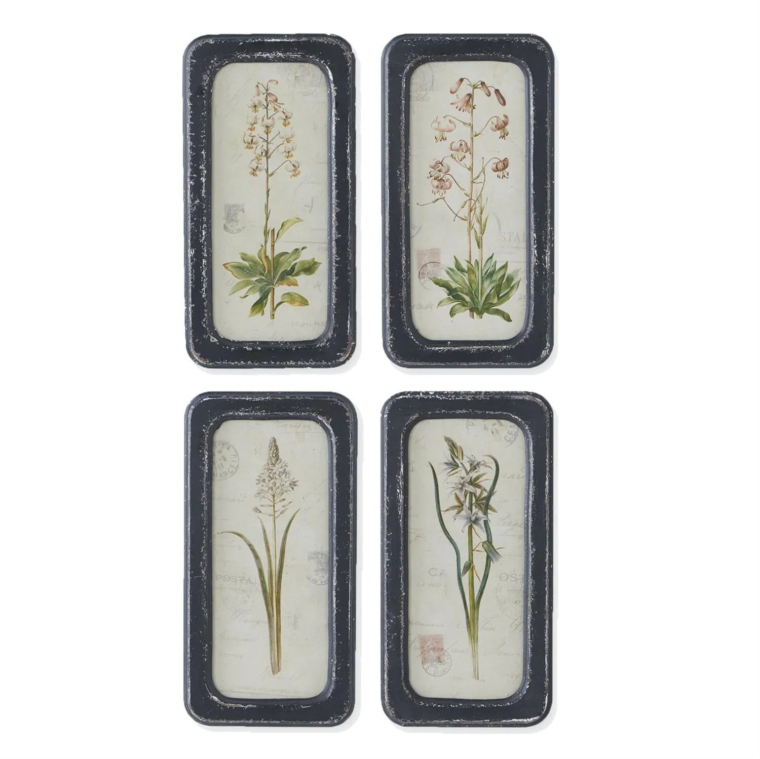 Black Framed Botanical Prints - 4 Styles
