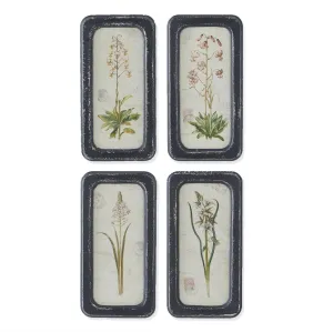 Black Framed Botanical Prints - 4 Styles
