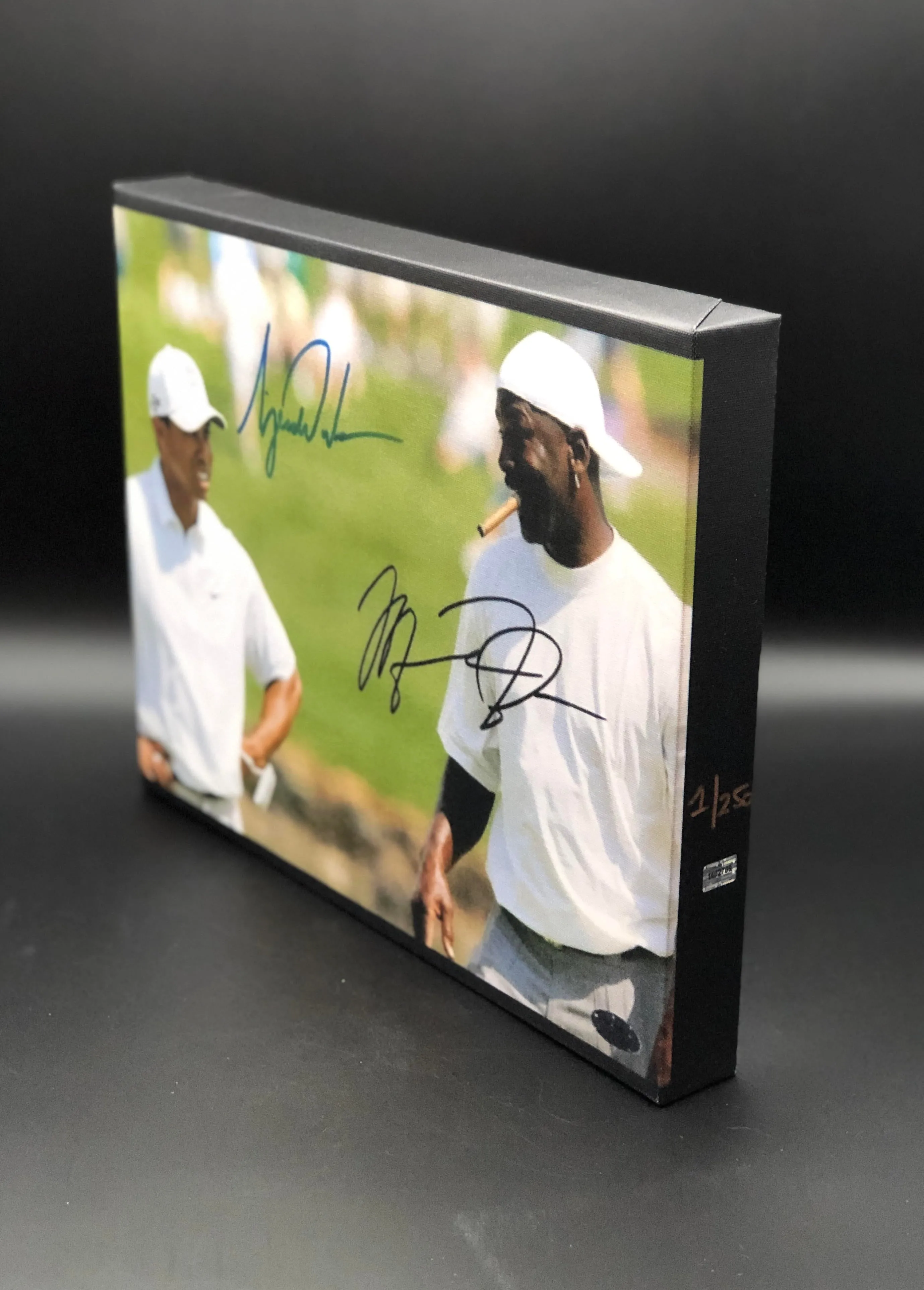 Michael Jordan & Tiger Woods Facsimile Autograph 11x14 Canvas Print Wall Art