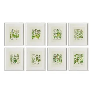 Wildflower Prints